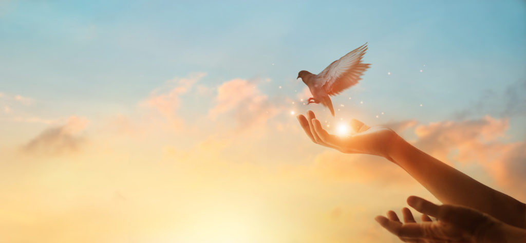 Open hands release a dove at sunset after asking "Is meditation a sin?"